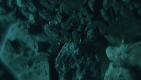 underground water soaking into rocks - blue green light static close-up shot