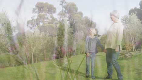composite video of tall grass against caucasian grandmother and granddaughter walking in the garden