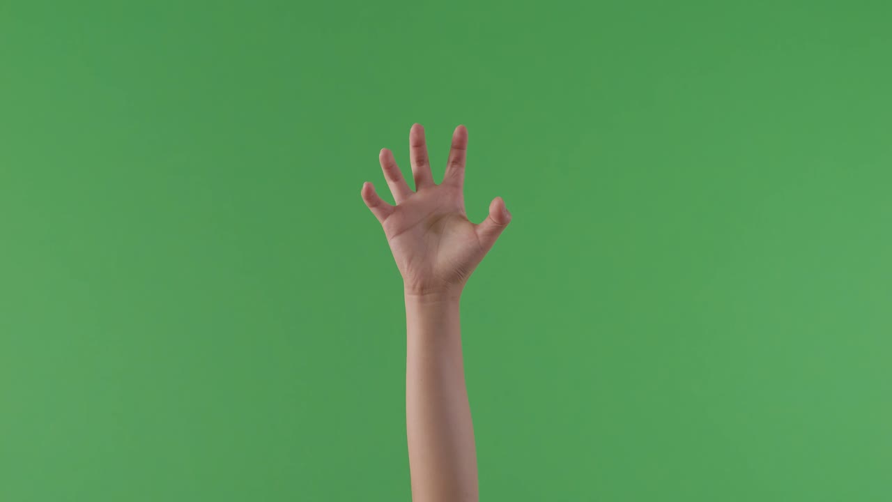 녹색 화면에 손을 들어 올렸습니다.