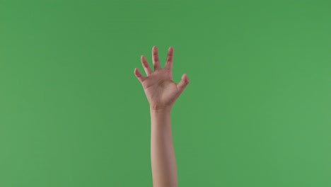mano levantada en la pantalla verde
