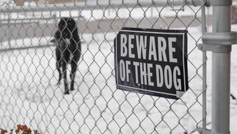 Am-Ersten-Tag-Des-Frühlings-Schneit-Es,-Während-Die-Kamera-Auf-Das-Schild-„Vorsicht-Vor-Dem-Hund“-Am-Maschendrahtzaun-Fokussiert-Ist,-Mit-Dem-Schwarzen-Labradane-Hund,-Der-Den-Ball-Aus-Der-Weißen-Hand-Holt,-Und-Schnee-Auf-Dem-Boden-–-Im-Kino-4k-60-Fps