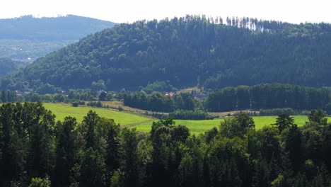 Nuestra-Colección-De-Material-De-Archivo-De-Naturaleza,-Bosque,-Madera-Y-Verde-Es-La-Manera-Perfecta-De-Brindar-La-Belleza-Y-La-Tranquilidad-De-La-Naturaleza.