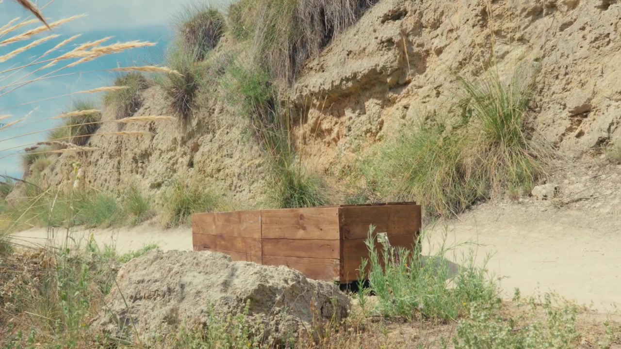 Weathered wooden crate on foreground, slightly tilted, visible grain, rough texture, steady stance.