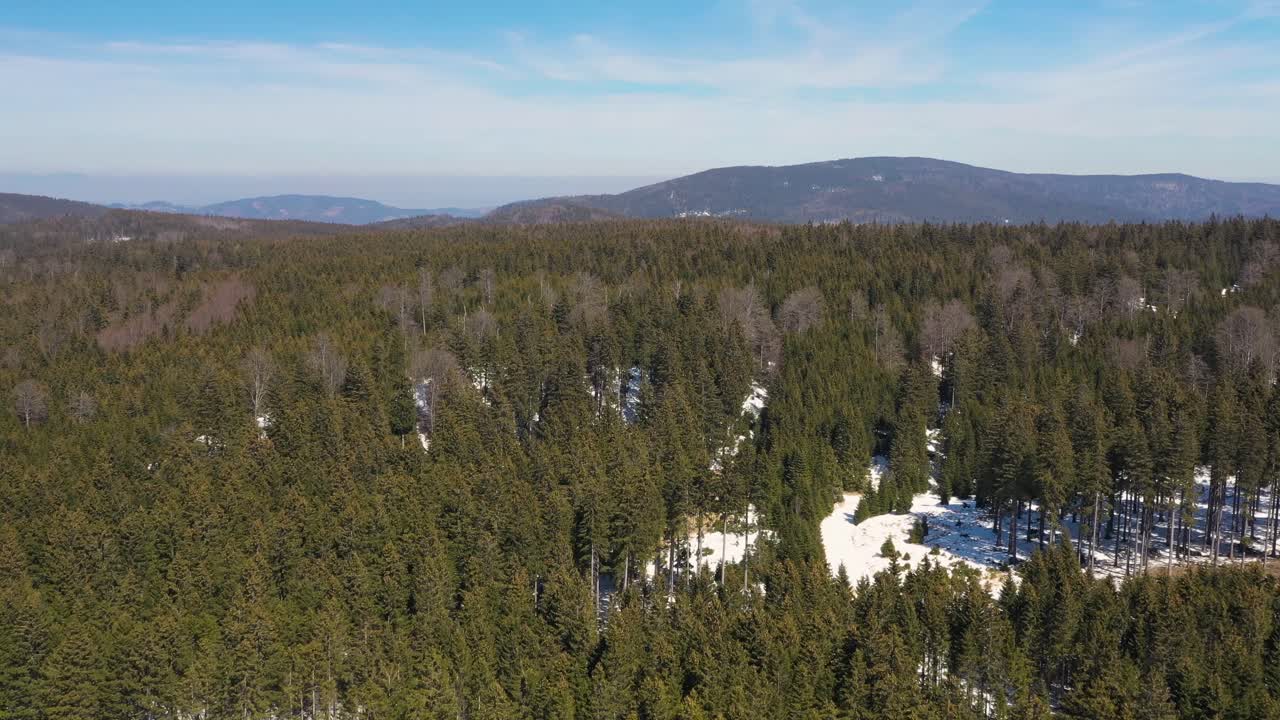 vista de pájaro de crno jezero en zabljak montenegro