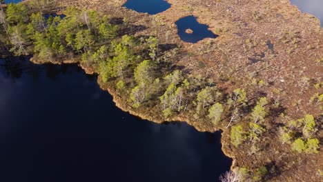 Aerial-birdeye-view-of-Dunika-peat-bog-day-with-clouds,-wide-drone-shot-moving-forward