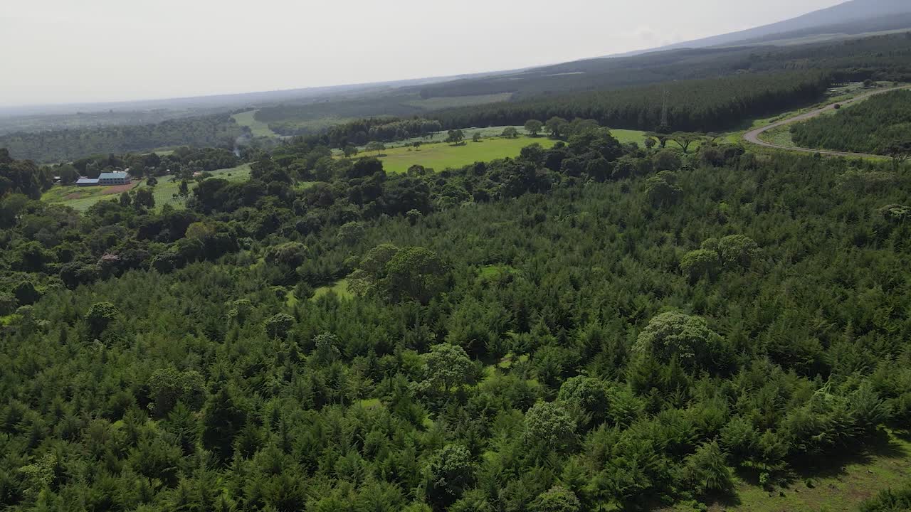 vista aérea del paisaje rural con una exuberante vegetación verde en kenia - toma aérea de drones
