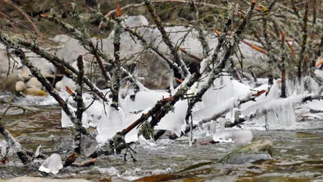 Umgestürzter-Baum-In-Einem-Fluss,-Der-Auf-Schöne-Weise-Gefroren-Ist,-Mit-Eiszapfen,-Die-In-4k-Hängen