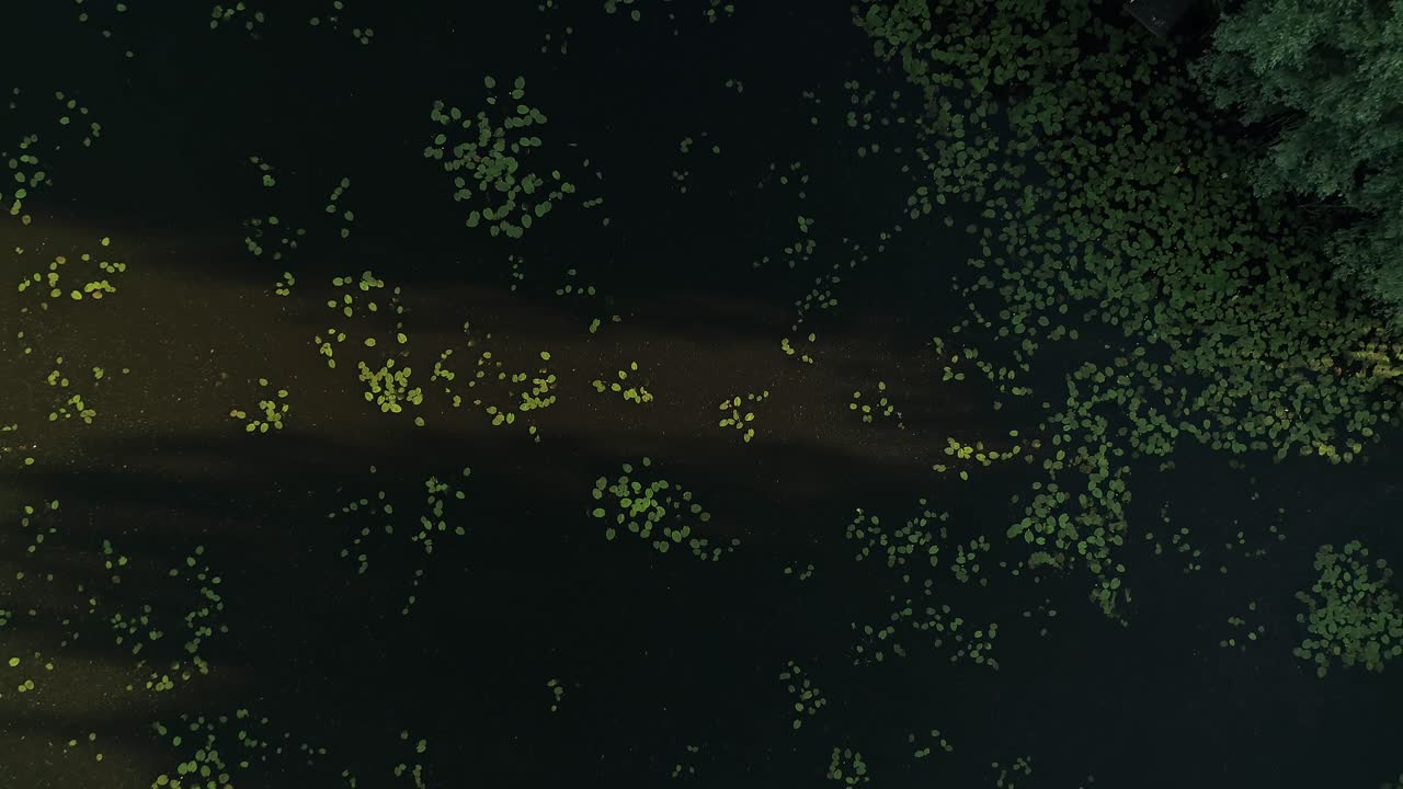 녹색 시골에 잠긴 농가의 연못 위로 공중 하향식 상승