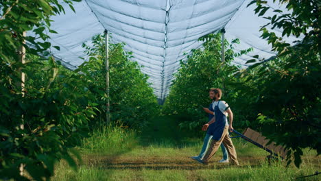 agronom couple checking plant product cultivation in summer garden plantation.