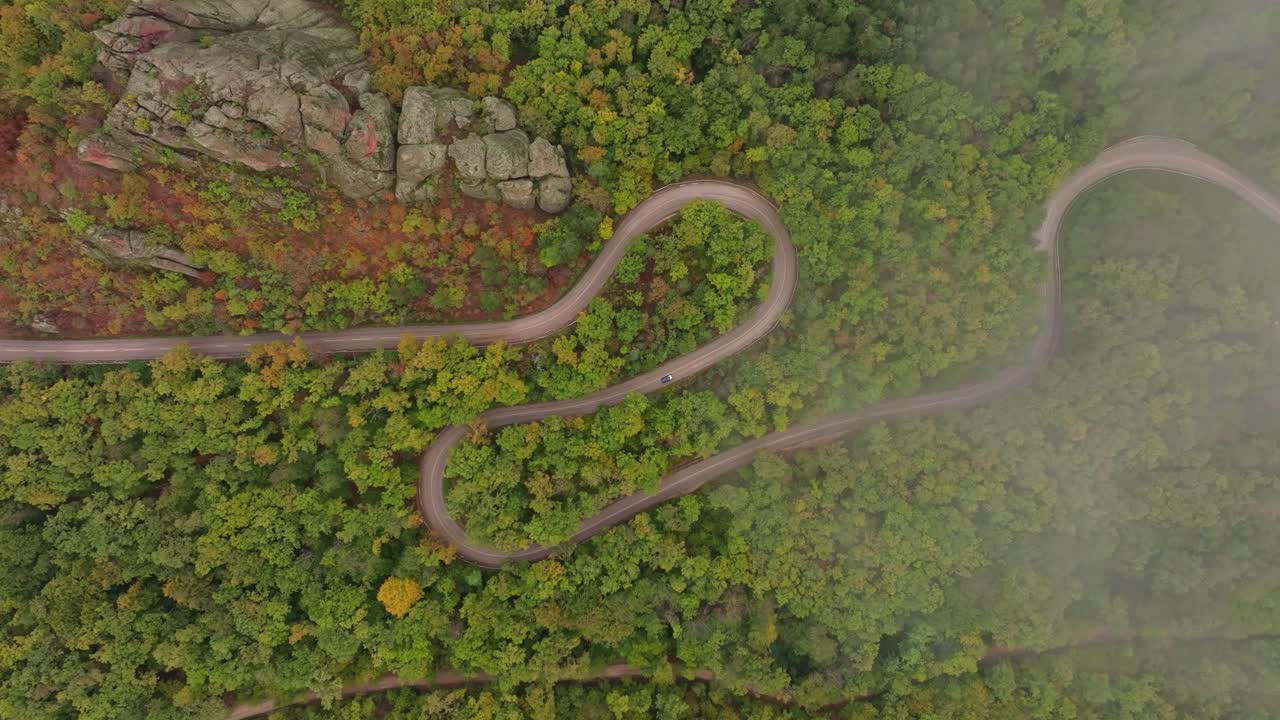 Winding highway cuts through lush seasonal forest, Bulgaria