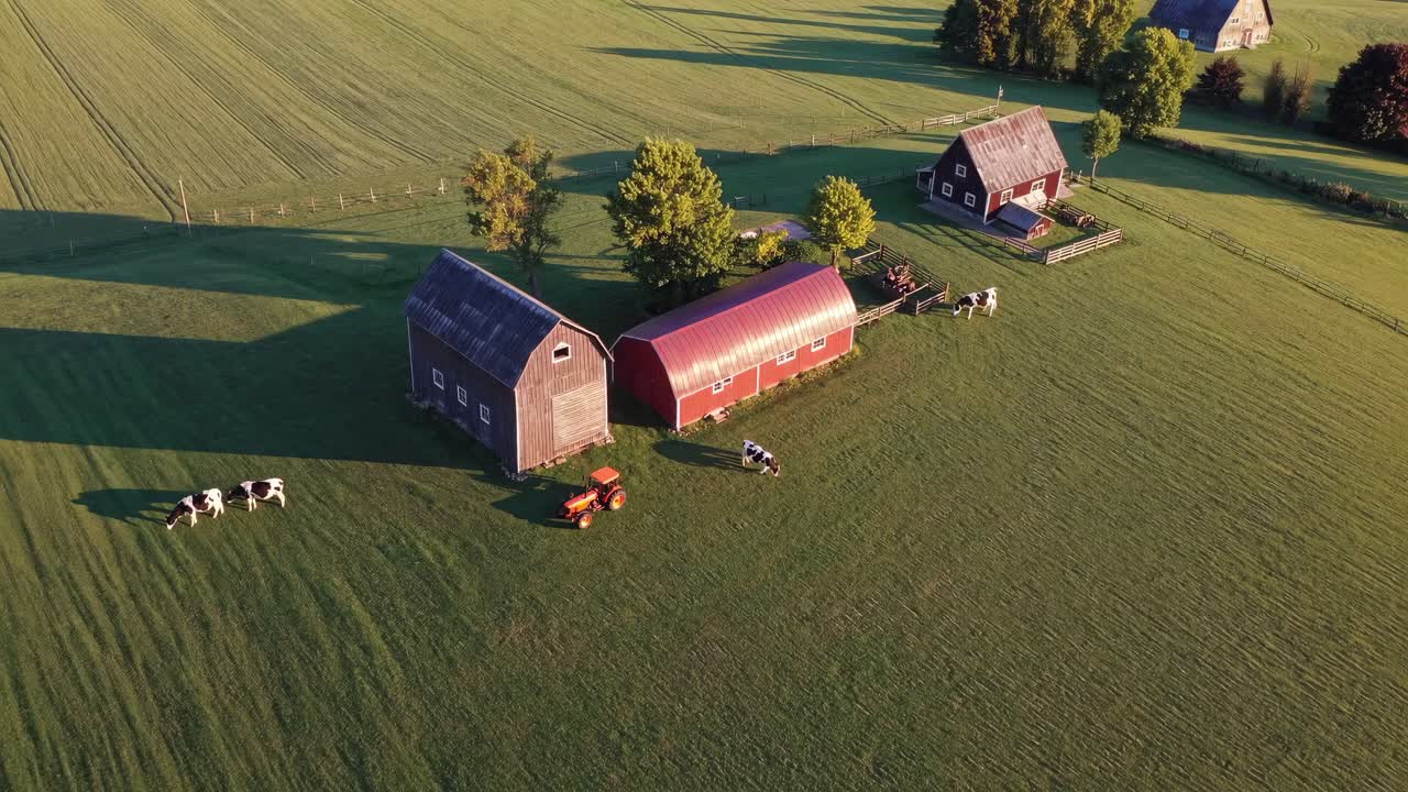 Aerial video captures a rural farm scene with barns, cows, and a tractor