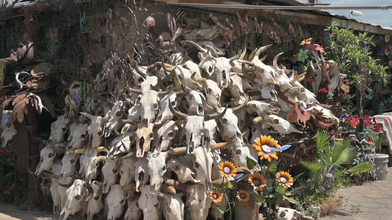 Teschi tradizionali di mucca o di toro venduti in un mercato all'aperto messicano.