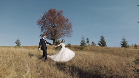 newlyweds. caucasian groom with bride walking on mountain slope. wedding couple