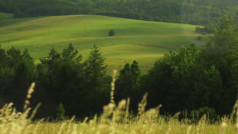 Picturesque-landscape-with-lush-greenery,-rolling-hills,-forests,-dynamic-shadows