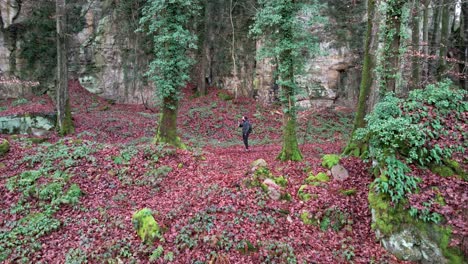 man drinking coffee at hiking trail of mullerthal in luxembourg late fall - ascending drone reveal