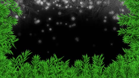 animation of christmas fir tree over snow on black background