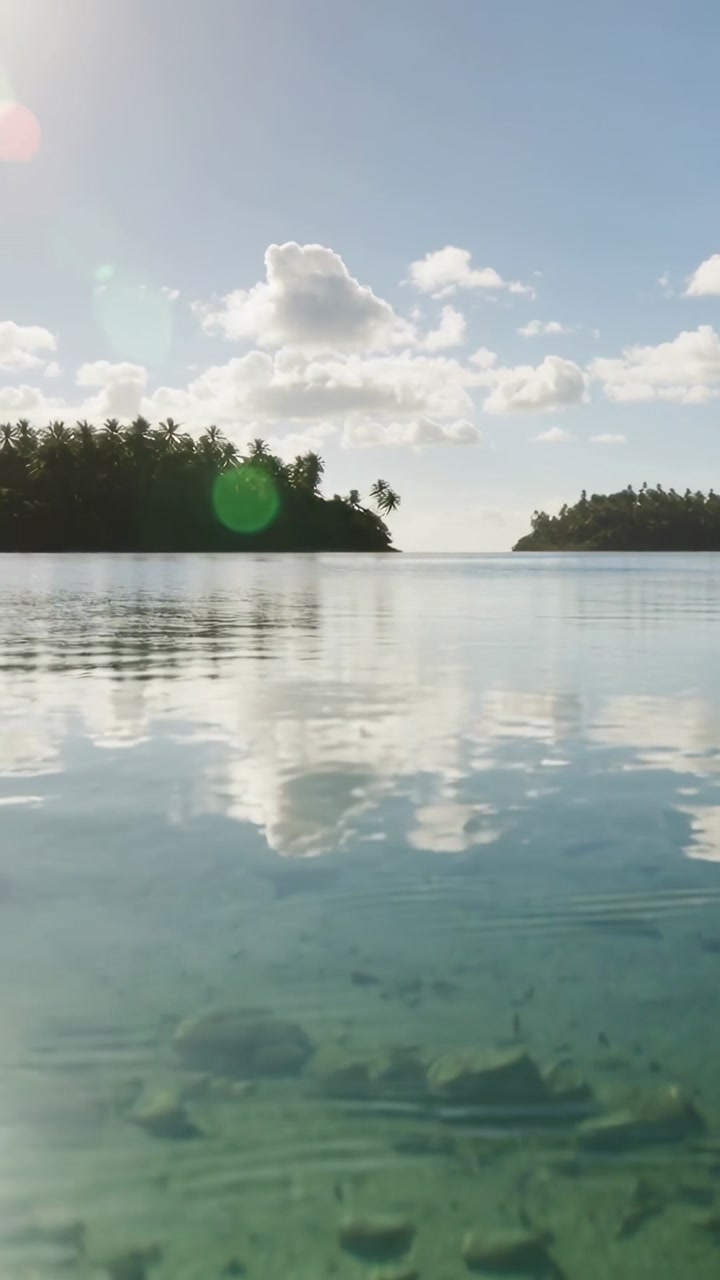 Vertical video: Reflecting lagoon, palms lining shore, sunlight and breeze making flare and ripples