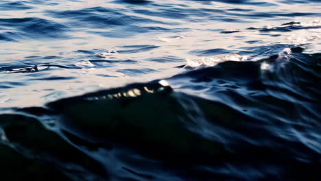 las olas del océano