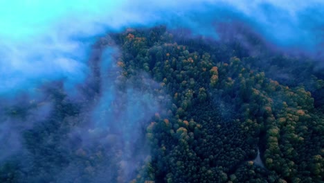 Mystische-Luftaufnahme-Eines-Nebligen-Walddachs,-Sonnenlicht,-Das-Durch-Die-Blätter-Fällt-Und-Einen-ätherischen-Glanz-Erzeugt