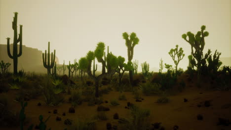 desolate landscape with cacti under dusk sky in a western setting