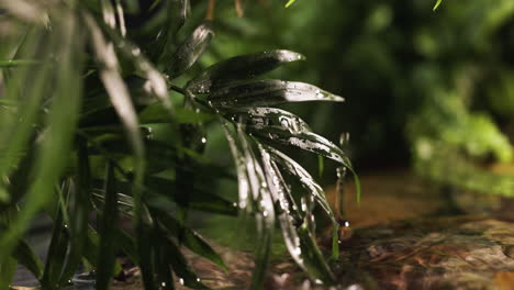 plantas en la orilla del río