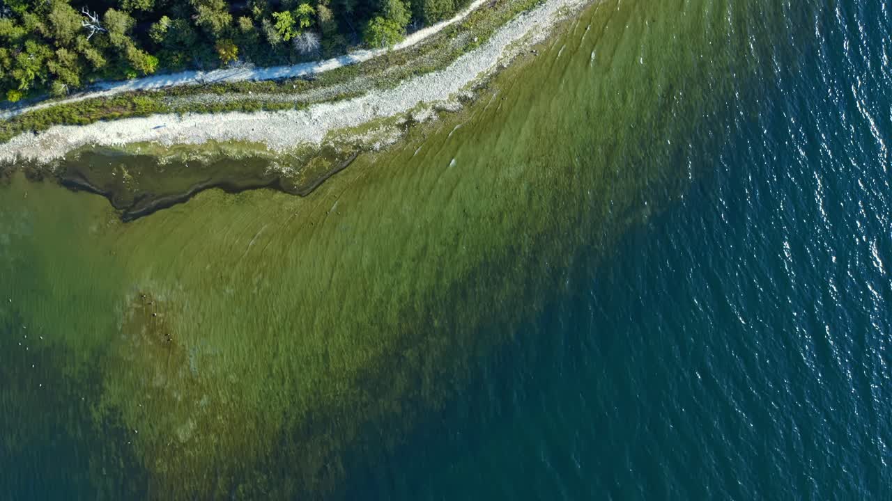 From above, the shifting hues of Lake Michigan reveal a vivid gradient where emerald shallows fade into dark blue depths, tracing the textured shoreline of Door County’s coast