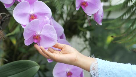 Frauen-Halten-Eine-Orchideenblüte,