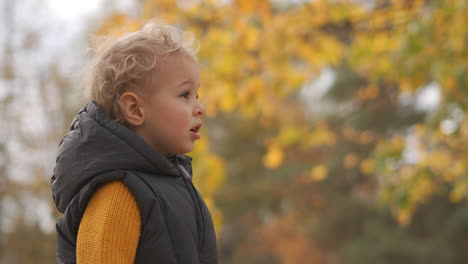 Encantador-Niño-Pequeño-En-El-Retrato-Del-Bosque-De-Otoño-Contra-El-Follaje-Amarillo-Brillante-De-Los-árboles-Caminando-En-La-Naturaleza-Infancia-Feliz