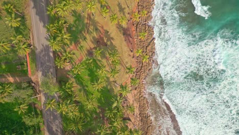 Bird's-Eye-View-Over-Scenic-Beach-And-Road-In-Nagua,-Dominican-Republic---aerial-drone-shot