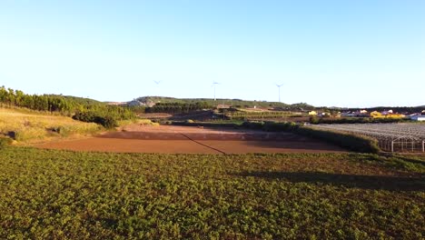 Aerial-view-of-agriculture-fields-being-watered-and-wind-fans-in-the-background,-going-forward