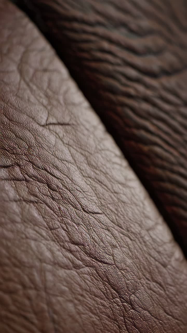 Close-up view of brown leather texture