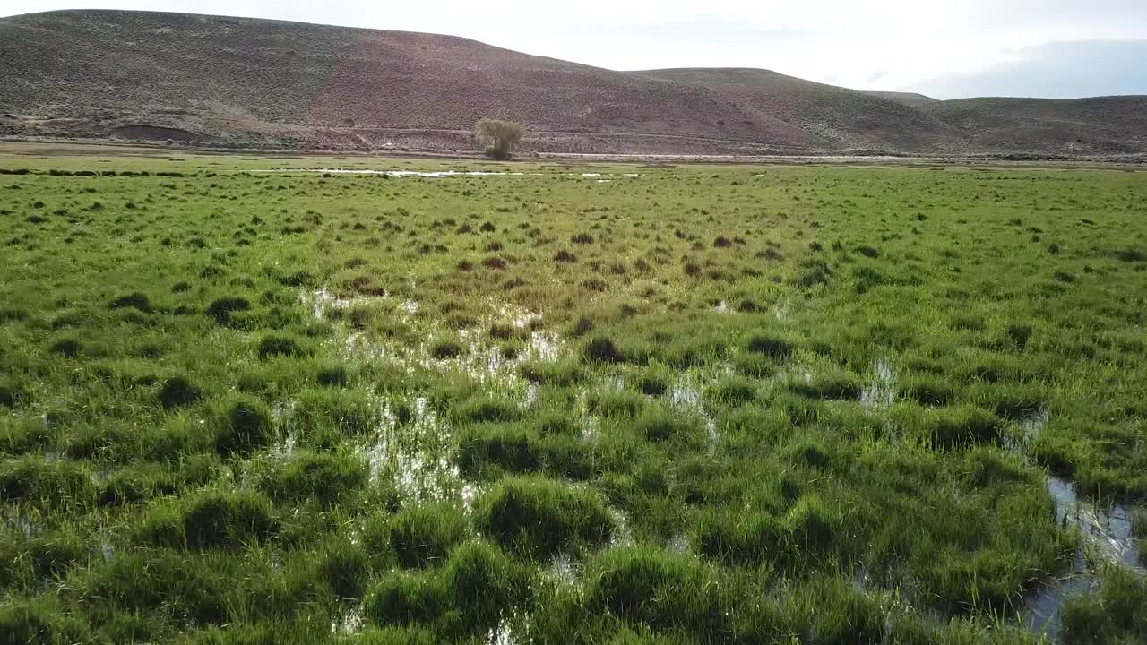 Dynamic Cinematic Aerial View of Wetland Under Desert Hills in Patagonia, Argentina