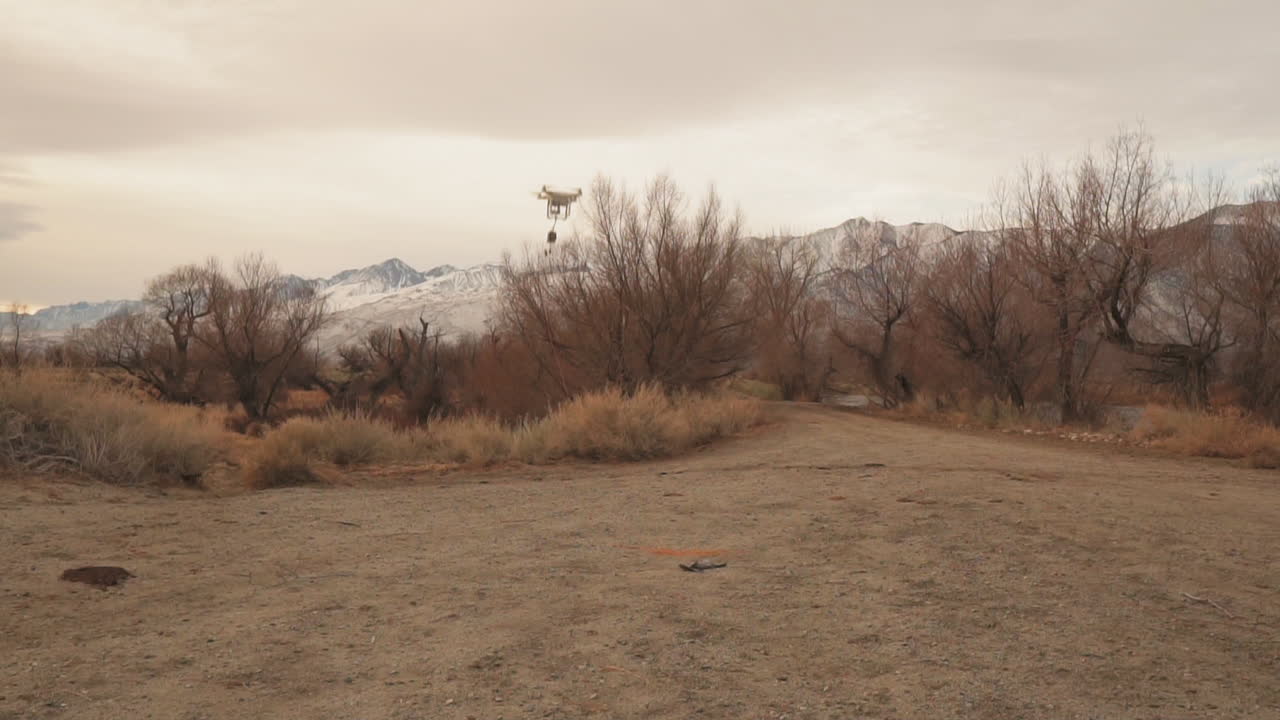 Drone Pilot Takes Off A Drone With A Prey Load For Training His Falcon