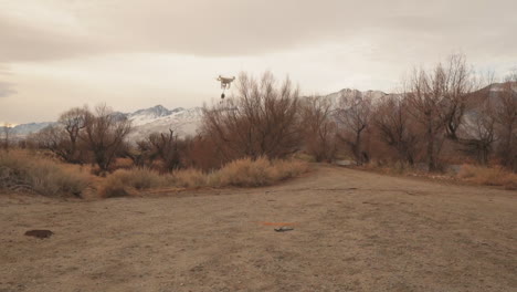 drone pilot takes off a drone with a prey load for training his falcon