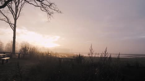 el amanecer brumoso sobre un humedal