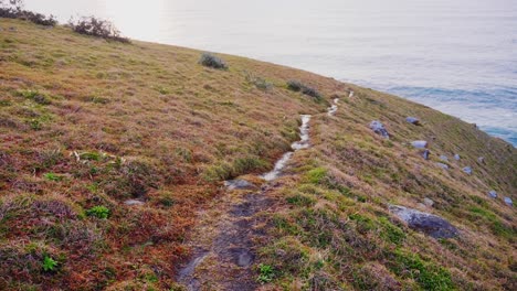 trail at the coastal mountain near the crescent head - ocean waves perfect for surfing - sydney, nsw, australia