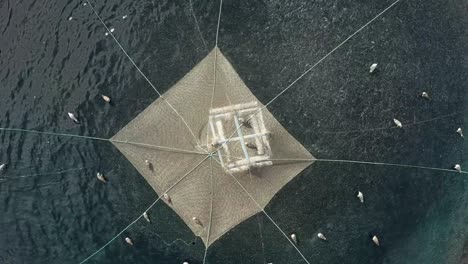 Fish production in cages became highly popular among the small or limited resource farmers who are looking for alternatives to traditional agricultural crops.