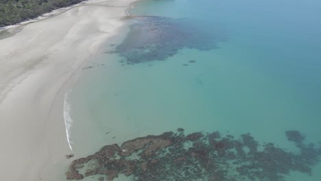 coral reef visible at clear water of myall beach in cape tribulation, australia