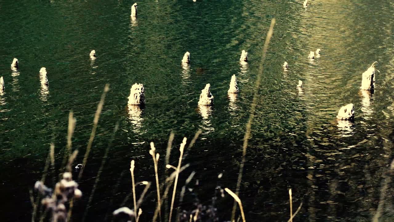 루마니아의 붉은 호수에서 바람이 부는 날의 안정적인 샷