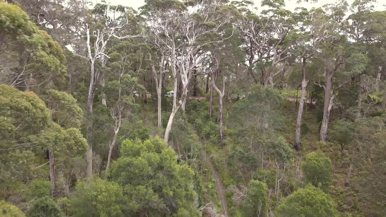 campamento en lo profundo de un espeso bosque