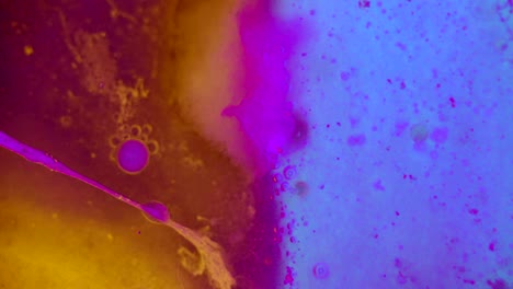 curlicue of paints