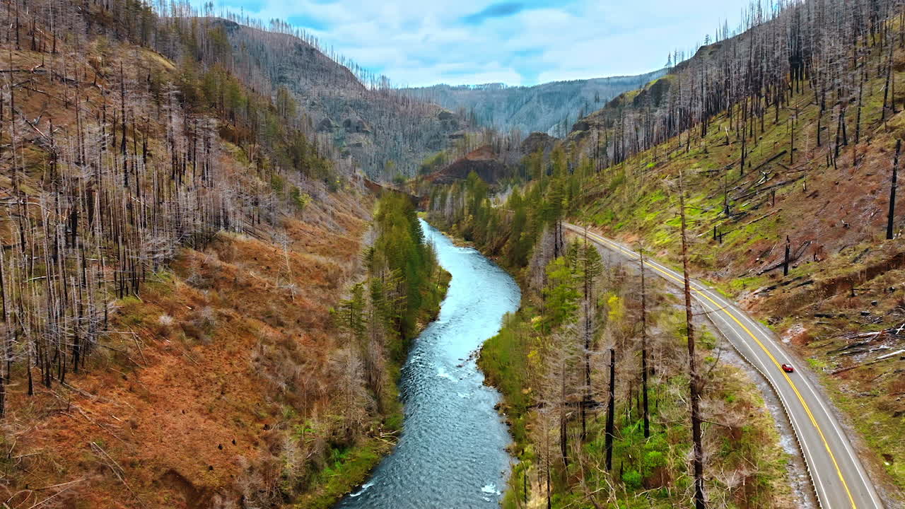 Narrow river flowing along the highway at the foot of the mountains. Timber from dead pine trees cover the slopes of rocks. Top view.