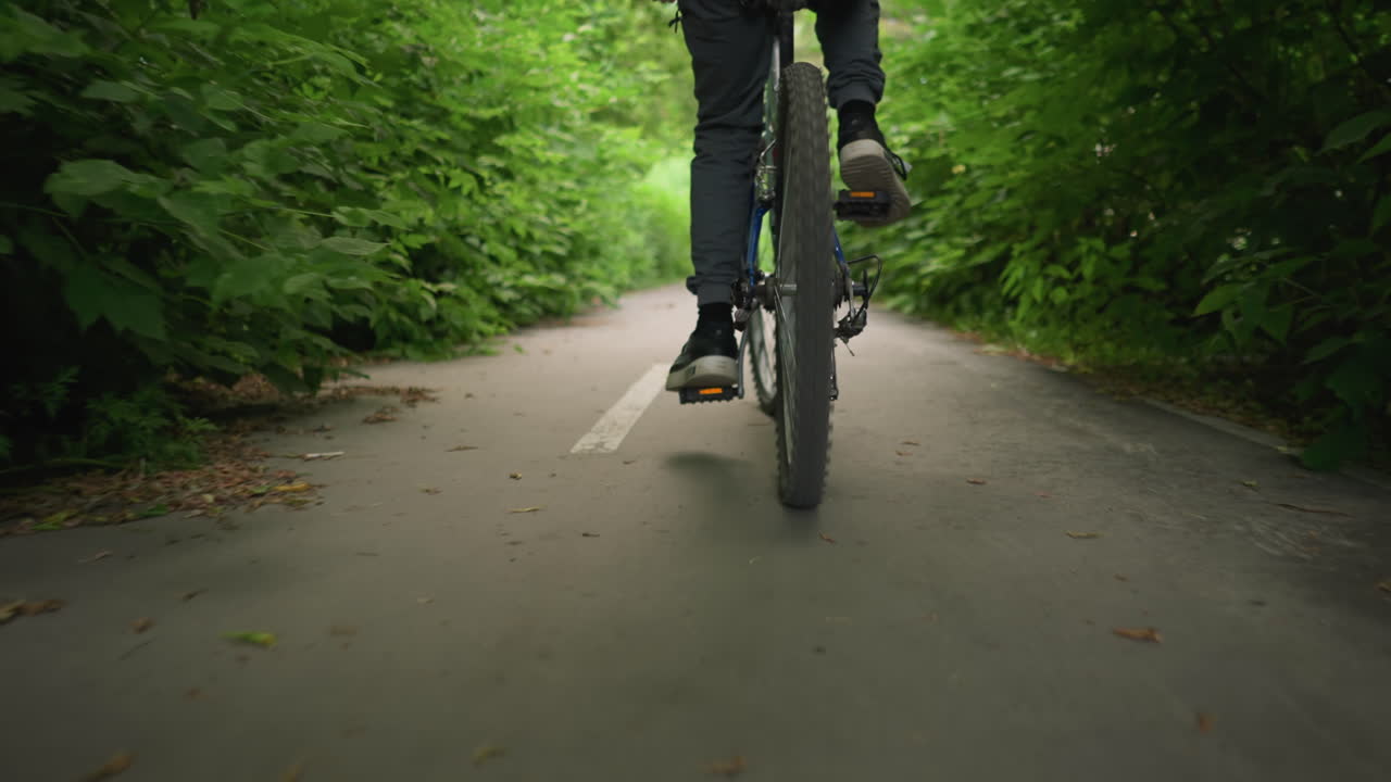 Back view of someone riding bicycle along a paved path with white road markings, surrounded by lush greenery forming a tunnel effect, dry leaves are scattered across the ground