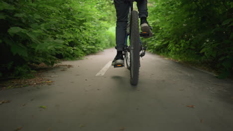 back view of someone riding bicycle along a paved path with white road markings, surrounded by lush greenery forming a tunnel effect, dry leaves are scattered across the ground