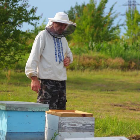 beekeeper working in his apiary. frames of a bee hive