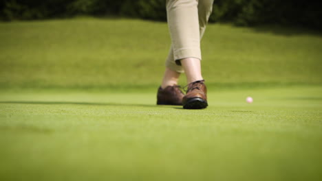 Close-up-of-a-golfer-sinking-a-hole-in-one-on-a-golf-course