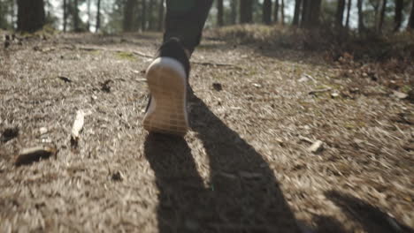 low angle shot with woman's legs walking through the forest in slow motion