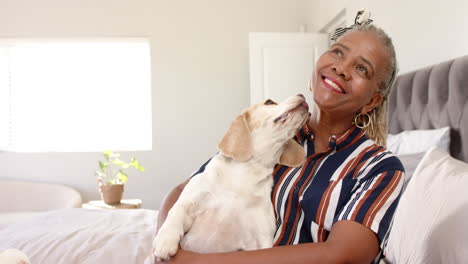 a senior african american woman is holding dog, both looking happy