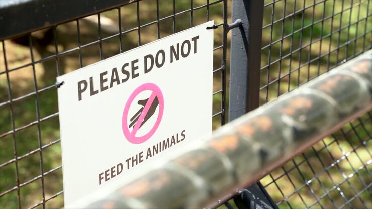 Cartello 'Si prega di non dare da mangiare agli animali' allo zoo, panoramica dall'alto da sinistra a destra