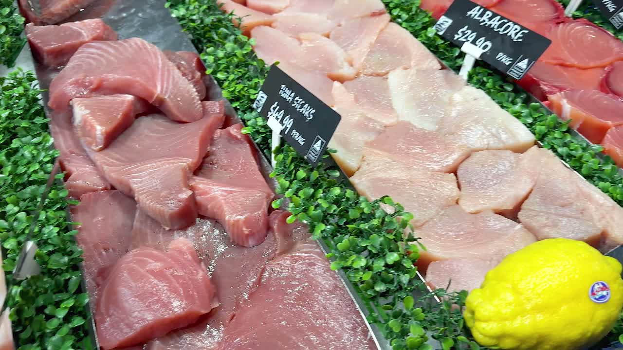 시장 에 전시 된 해산물 의 다양성